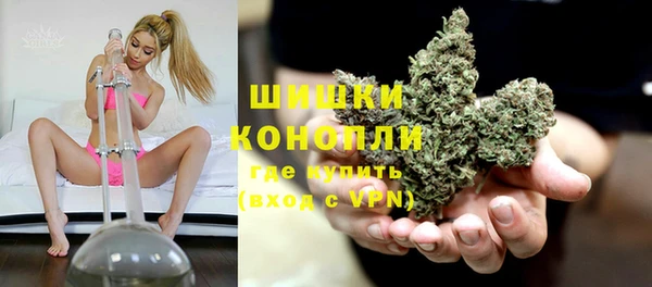 стаф Магас