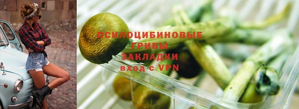 стаф Магас