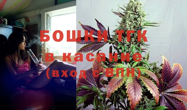 стаф Магас