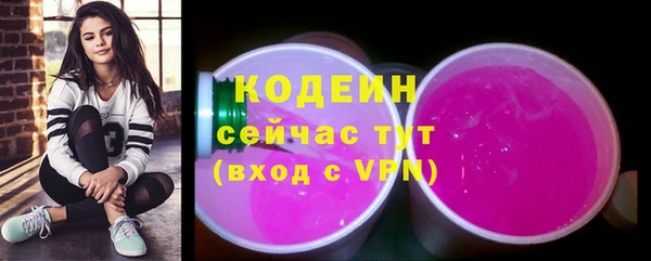 стаф Магас