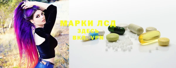 стаф Магас