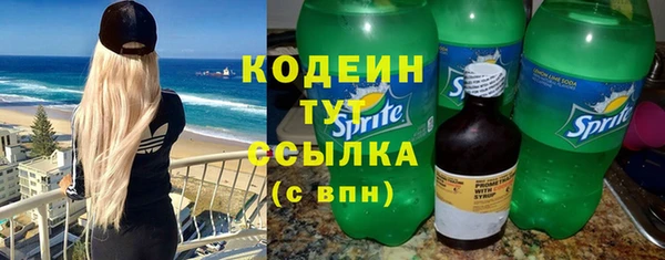 стаф Магас
