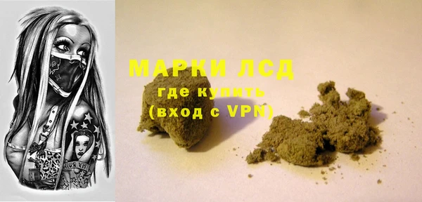стаф Магас
