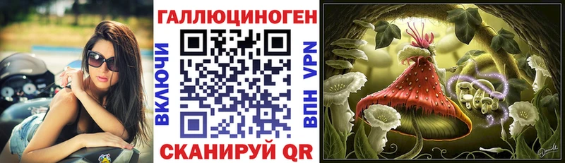 Псилоцибиновые грибы Psilocybe  Хабаровск 