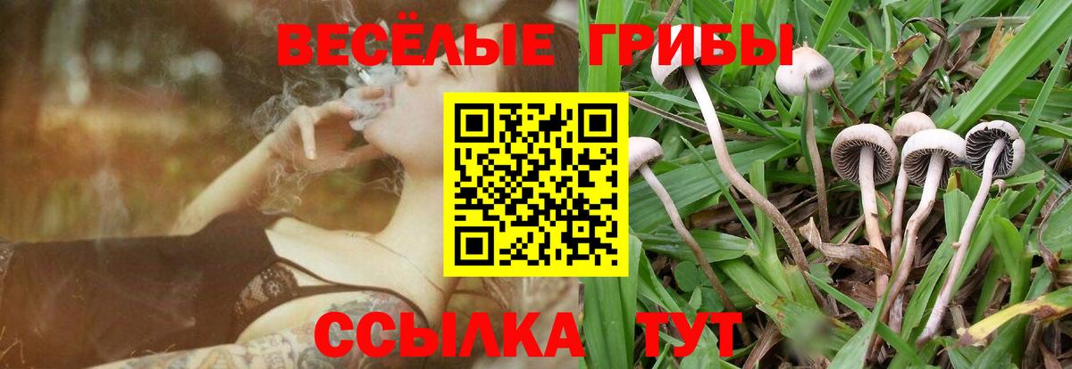 Галлюциногенные грибы прущие грибы Хабаровск