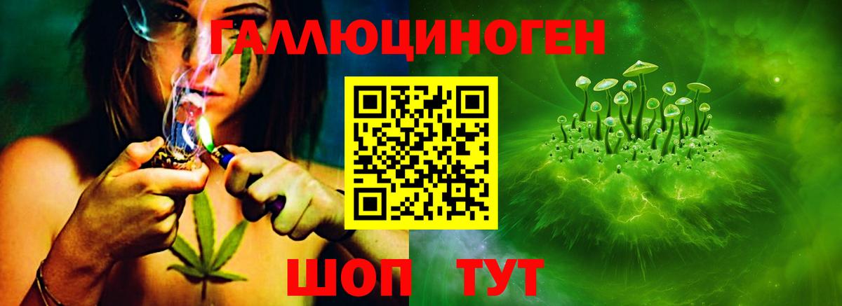 Галлюциногенные грибы мицелий  Вход с VPN  Хабаровск 